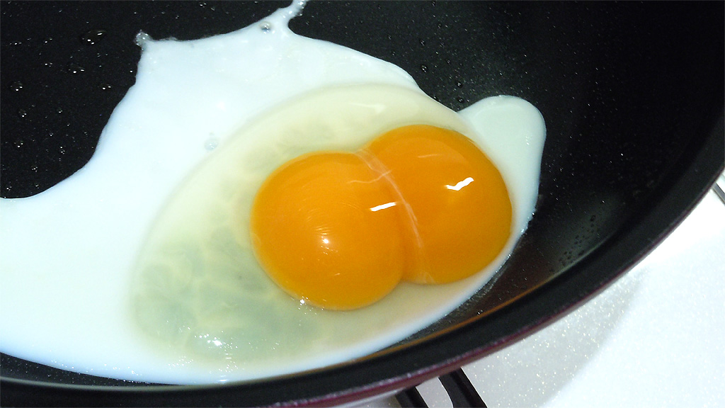 黄身が2つ、くっついている卵がフライパンに乗っている写真 黄身が2つ、くっついている卵がフライパンに乗っている写真